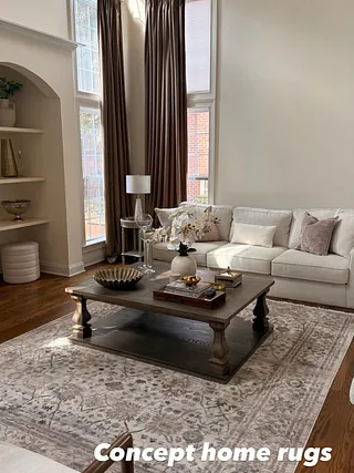 Rug in a living room setting