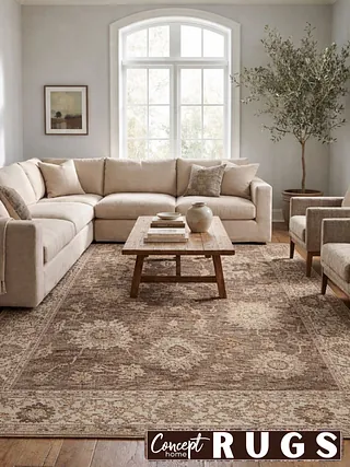 Rug in a living room setting